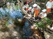 農園観察・自然巡り（年長）