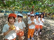 梨狩り🍐
