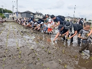 田植え🌾（2025年度）