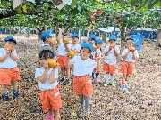 梨狩り🍐（2025年）