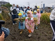 稲刈り🌾＆さつま芋掘り🍠（2025年）